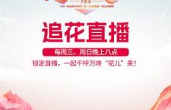 《花儿绽放》太撩人了！缩略图