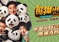 《熊猫计划》网盘资源高清免费(完整阿里云盘版)【1080p高清】缩略图