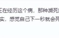 突然说要二胎，还高调晒照片，网友震惊：你们竟然没离婚？缩略图