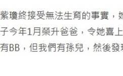 杨紫琼谈首段婚姻破裂，人工受孕多次未果缩略图