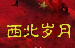 《西北岁月》百度云网盘【超清1080P资源下载】缩略图
