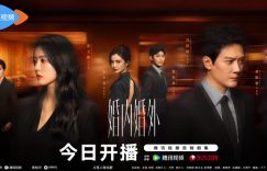 《婚内婚外》迅雷BT网盘资源下载超清[HD720p1080p]阿里云盘缩略图