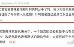 叶珂独自去产检没碰到黄晓明，肚子鼓起来了但腰还是细缩略图