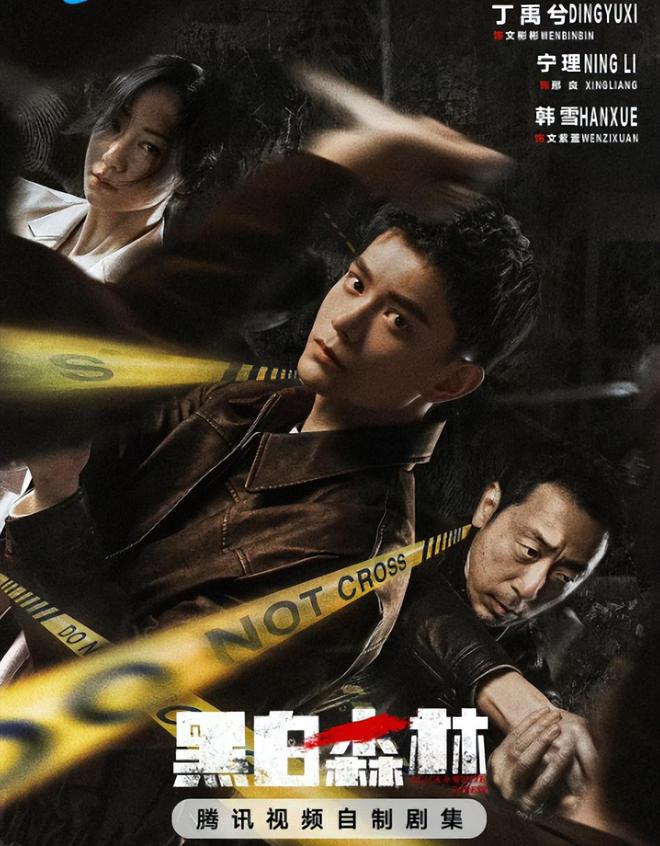 28集悬疑大剧来袭！宁理、丁禹兮主演，首播评分9.7，这剧要火了！