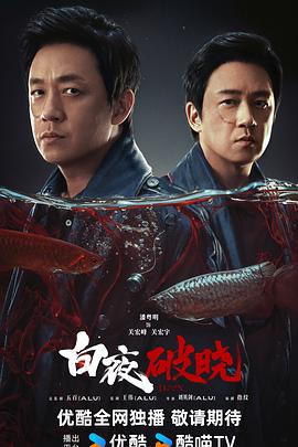 《白夜破晓》：这部剧真是让人说不出的无聊，没意思到家了