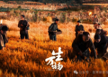 《生万物》迅雷网盘磁力资源下载[MP4720P]高清免费网盘地址百度云网盘缩略图