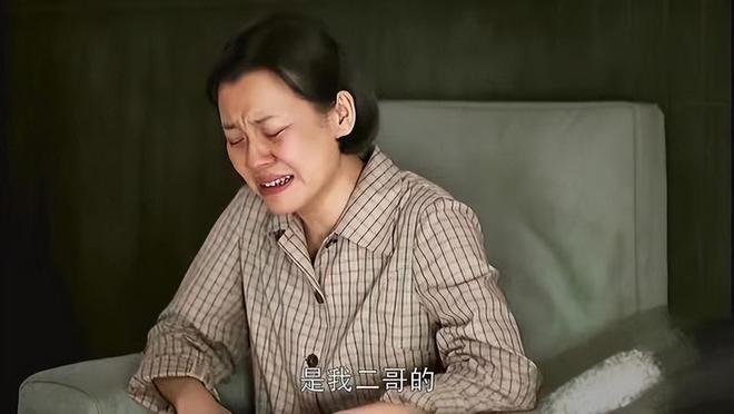 《父母爱情》在线免费观看【1080p高清网盘资源】4K高清版