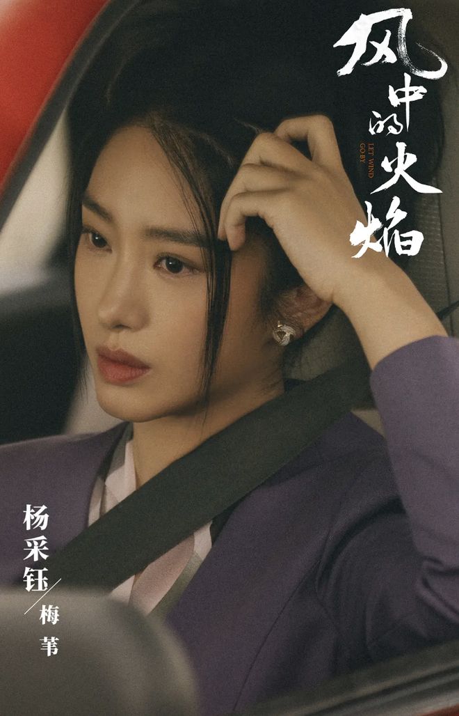 《风中的火焰》全集百度云【720p/1080p高清国语】下载