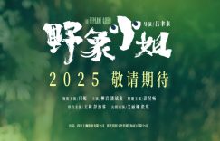 《野象小姐》百度云网盘迅雷种子下载【HD1280P/夸克网盘-MP4-高清】正版高清阿里云缩略图