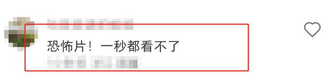 《执行法官》下载（HD1280P泄露-MP4）百度网盘资源下载迅雷云盘