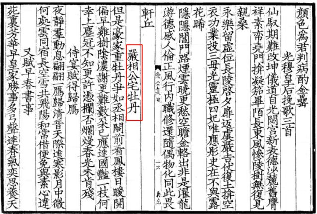 大唐的国色美得让人眼前一亮