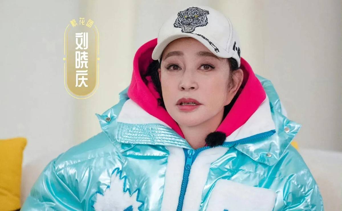 刘晓庆谈争议，向太曝光背后的故事