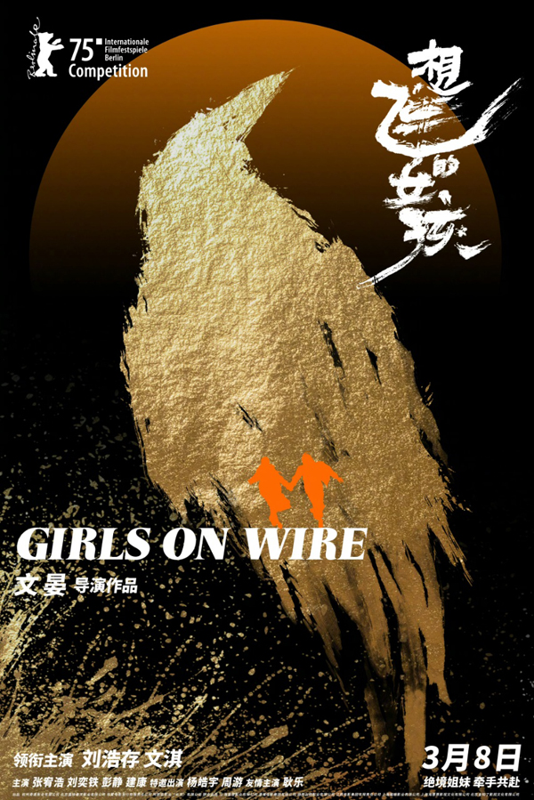 《想飞的女孩》百度云网盘迅雷资源下载高清无水印免费下载HD1080p超清版本