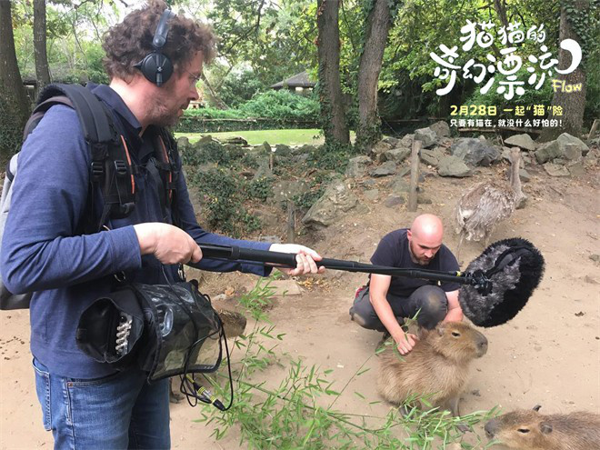 《猫猫的奇幻漂流》百度云网盘免费下载链接【HD720P/泄露-MP4】夸克网盘