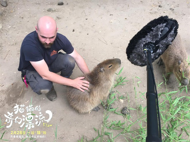 《猫猫的奇幻漂流》百度云网盘免费下载链接【HD720P/泄露-MP4】夸克网盘