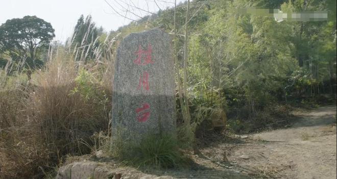 陶正一个月后重回电视，央视八套新剧里他大变样，大家都在热议呢。