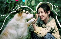 《我会好好的》百度云资源下载（HD1080P资源下载）缩略图