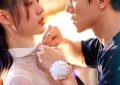 《非标准恋爱》百度云网盘资源下载[HD-MP4][阿里云盘][高清]缩略图