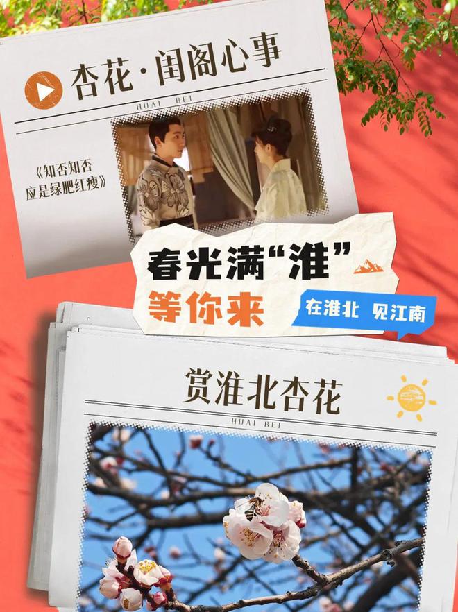 《知否》全集百度云[1080p高清电视剧中字]百度网盘下载