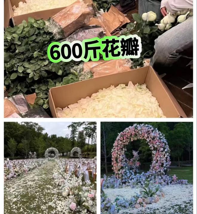 《嘘，国王在冬眠》百度云网盘（高清阿里云盘免费资源下载）在线分享