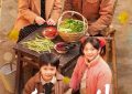 《家里家外》全集电视剧百度云高清免费/加长版网盘【迅雷资源下载免费分享】缩略图
