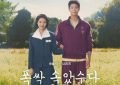 首映就火了，Netflix这部高分新剧让剧迷们集体泪奔缩略图
