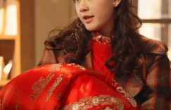 《家里家外》百度云网盘资源下载[BD720p-1080p]在线观看缩略图