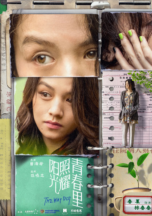 《阳光下的青春冒险》百度云网盘未删减阿里云盘[BD1024p/1080p/Mp4]高清资源下载