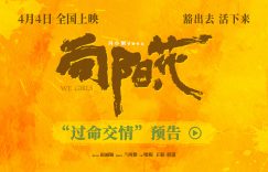 《向阳花》百度云网盘迅雷下载HD1080p超高清资源下载缩略图