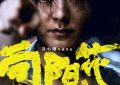 《向阳·花》百度云网盘免费资源下载分享阿里云盘原声版【MP4-1080P高清】缩略图