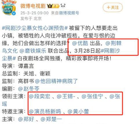 国产悬疑剧又放大招啦！段奕宏、黄小蕾领衔，观众：有精彩的戏码看了