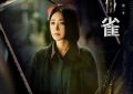 《黄雀》全集百度云网盘【HD1080大结局】高清资源下载缩略图
