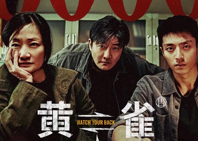 《黄雀》全集百度云网盘【HD1080大结局】高清资源下载