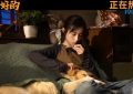 《我会好好的》在线免费观看阿里云盘百度云网盘【1280P高清】资源下载缩略图
