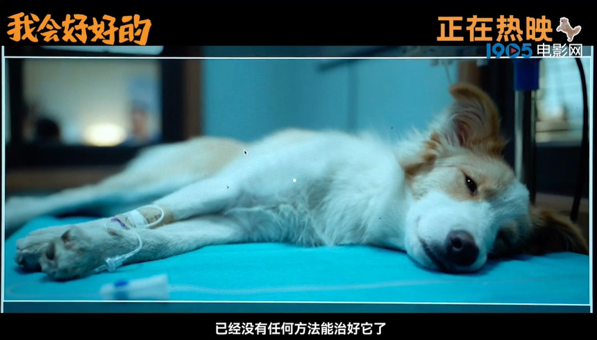 《我会好好的》在线免费观看阿里云盘百度云网盘【1280P高清】资源下载