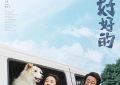 我会好好过：一段关于生命、离别和关系的旅程——《我会好好的》影评缩略图