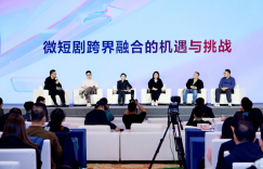 从乱哄哄到讲究打法——我国微短剧产业开始转型啦缩略图