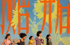 《向阳·花》百度云网盘迅雷资源免费下载HD1080p版本阿里云盘缩略图