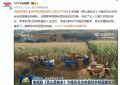 央视新剧火了！刚播两集收视率就破2.3，老戏骨演技超燃！缩略图