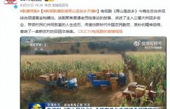 央视新剧火了！刚播两集收视率就破2.3，老戏骨演技超燃！缩略图