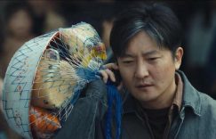 《黄雀》百度云网盘阿里云盘资源下载免费在线观看缩略图