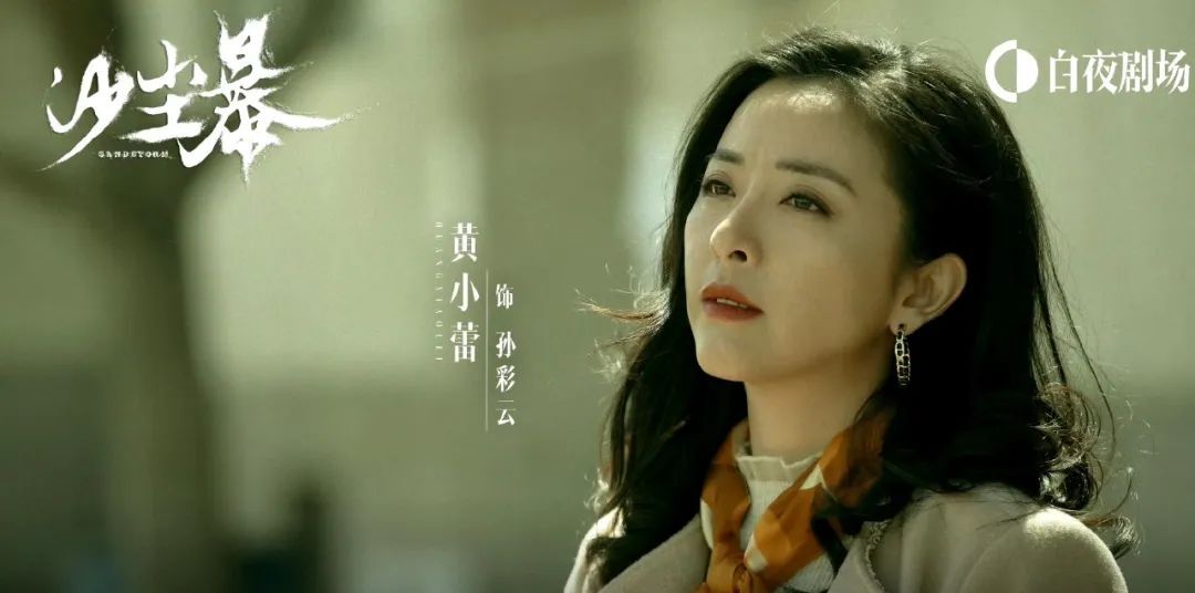 《沙尘暴》全集百度网盘资源下载[BDHD-MP4MKV]阿里云盘