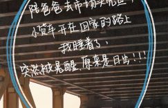 《独一无二》百度云在线免费观看(网盘资源下载已更新)[1080p高清中字]共享缩略图