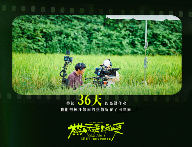 《苍茫的天涯是我的爱》电影百度云迅雷BT种子免费加长版【BD720P/夸克网盘-MP4】