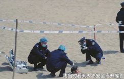 沙尘暴结局揭晓啦！盈盈是幕后黑手，王良是帮凶，多多是冤枉的缩略图