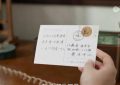 我的后半辈子：美女老了也迷人！严晓频展现优雅，丁嘉丽演绎女强人缩略图