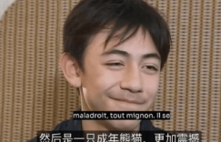 诺一上法国新闻，笑得有点害羞，满满的少年感缩略图