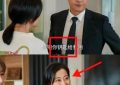 《我的后半生》百度云[1080p高清电视剧中字]百度网盘下载缩略图