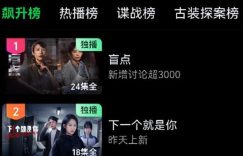 《盲点》百度云网盘在线观看中字高清版【HD1280P/泄露-MP4】下载链接缩略图