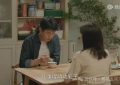 《我的后半生》全集百度云网盘资源下载【BD1080P夸克网盘-MP4】免费在线观看缩略图
